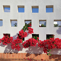 Пазл: Где-то в Эмиратах