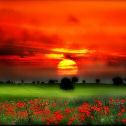 Пазл: Красный закат