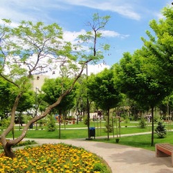 Пазл: В парке