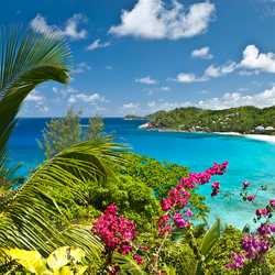 Пазл: Тропический рай