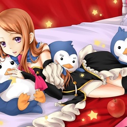 Пазл: Пингвиний барабан