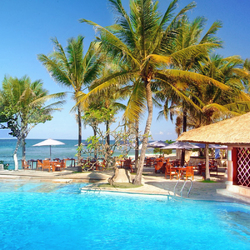 Пазл: Кафе под пальмами