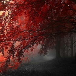 Пазл: Осень