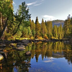 Пазл: Солнечный денек