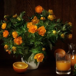 Пазл: Оранжевый натюрморт