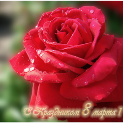 Пазл: С 8 марта!