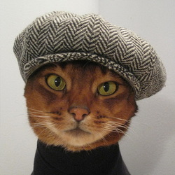 Пазл: Дворовый хулиган