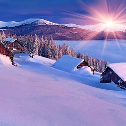 Пазл: Солнечно