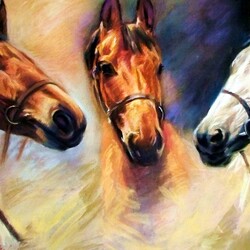 Пазл: Лошади