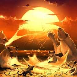 Пазл: Львиный прайд