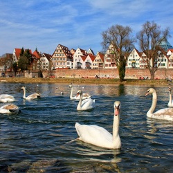 Пазл: Бавария. Ной-Ульм