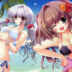 Пазл: Солнце...море...