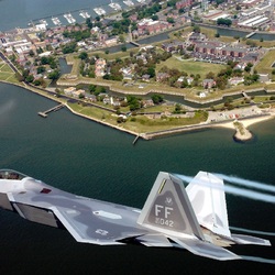 Пазл: Раптор