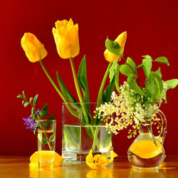 Пазл: Натюрморт