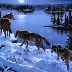 Пазл: Лунная ночь