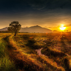 Пазл: Закат 