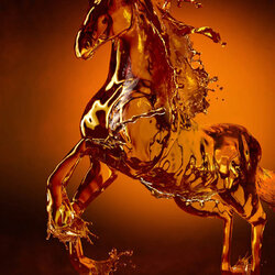 Пазл: Год лошади