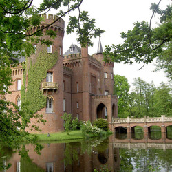 Пазл: Замок в лесу