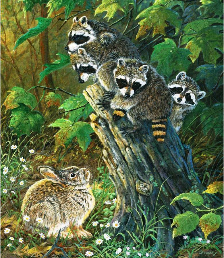 Пазл «Мало места на пеньке» из 195 элементов | Собрать онлайн пазл №4521