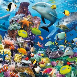 Пазл: Океан