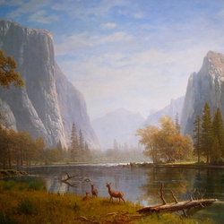 Пазл: Волшебный уголок дикой природы