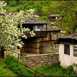 Пазл: Старые крыши