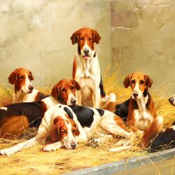 Пазл: Hounds in a kennel / Собаки в питомнике