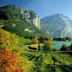 Пазл: Пейзаж с видом на горы