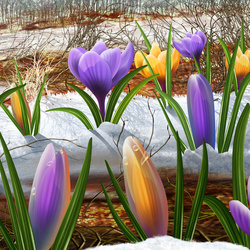 Пазл: Весна пришла!