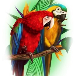 Пазл: Попугаи