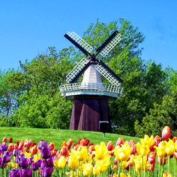 Пазл: Мельница