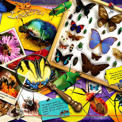 Пазл: Бабочки