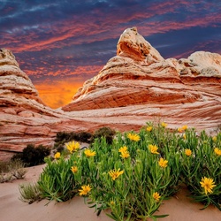 Пазл: Великолепие