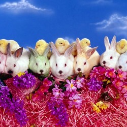 Пазл: Кролики и Цыплята