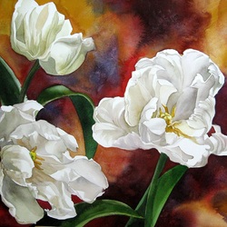 Пазл: Белые тюльпаны