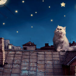 Пазл: Близко к звездам