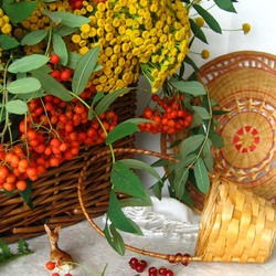 Пазл: Натюрморт