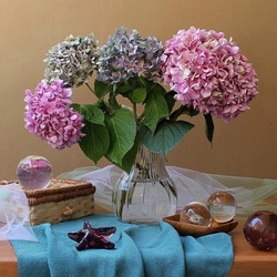 Пазл: Разноцветные гортензии