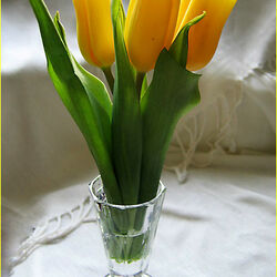 Пазл: Тюльпаны