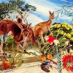 Пазл: Западный серый кенгуру