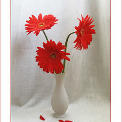 Пазл: Цветы