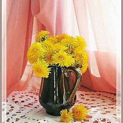 Пазл: Одуванчики