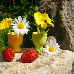 Пазл: Натюрморт