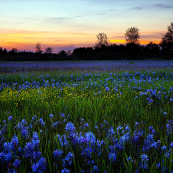Пазл: Пейзаж