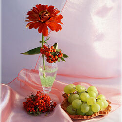 Пазл: Натюрморт