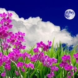 Пазл: Пейзаж с орхидеями