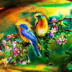 Пазл: Райские птички