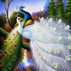 Пазл: Павлины