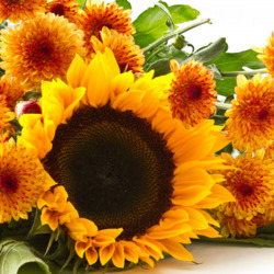 Пазл: Оранжево-желтое настроение