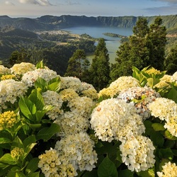 Пазл: Вид на озеро